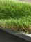 Constantia Autumn 35mm Sân cỏ nhân tạo PE
