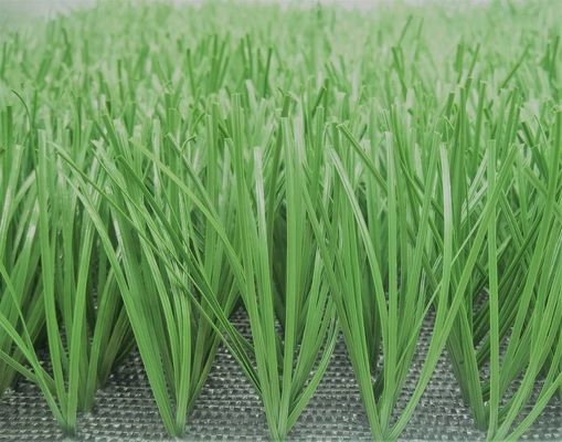 Lemon Grass Bóng đá Cỏ nhân tạo Bóng chày Thảm cricket nhân tạo 50mm