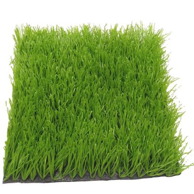 Cỏ nhân tạo bóng đá thể thao Green Soccer 60mm