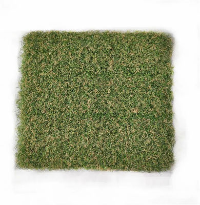 cỏ nhân tạo sân golf 15mm khu lỗ gôn trong nhà