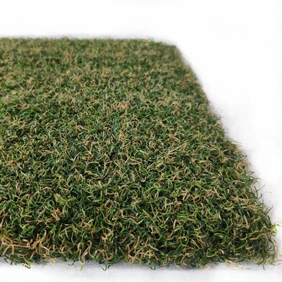 cỏ nhân tạo sân golf 15mm khu lỗ gôn trong nhà